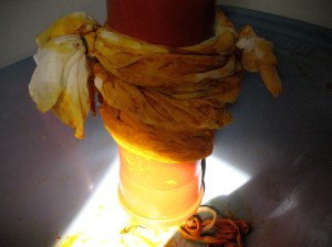 IMG_8342